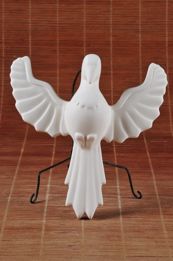 Pomba Espirito Santo G